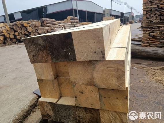 木材工厂财富热线 木材进口全攻略与合作指南